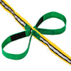 Walkodile® Grab & Go Pre-School Walking Reins / Fire Drill Resource (12 child). With Free Learning Games for Walks Guide!