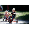 Winther Mini Viking Low Tricycle with Plate